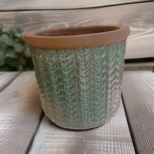Sage green plant for sale  TEWKESBURY
