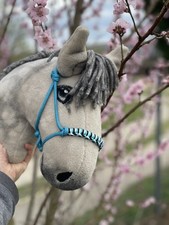Hobby horse gebraucht kaufen  Michendorf