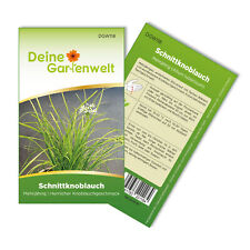 Schnittknoblauch mehrjährig s gebraucht kaufen  Pulheim
