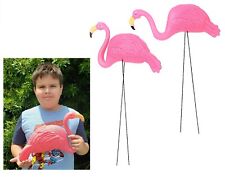 Large pink flamingo for sale  Palm Harbor