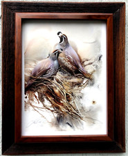 Quail lee bogle for sale  Portland