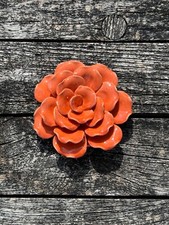 Fleur suzanne orange d'occasion Fleur suzanne orange d'occasion  Claye-Souilly