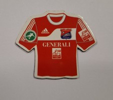Trikot magnet spvgg gebraucht kaufen  Würselen