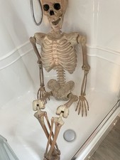 Halloween props old for sale  MIRFIELD