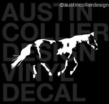 Paint horse vinyl for sale  Villa Park