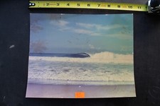 Brad welson tuberide for sale  Los Angeles