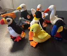 Beanie babies birds for sale  Pink Hill
