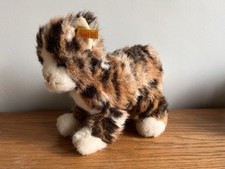 Steiff cat teddy for sale  BELFAST