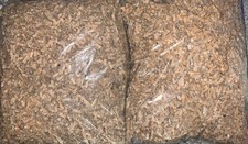 Shredded cardboard 1kg for sale  LLANDUDNO JUNCTION