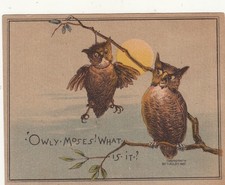 Owly moses owl for sale  Pinehurst