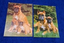 Hunde postkarten boxer gebraucht kaufen  Hamburg