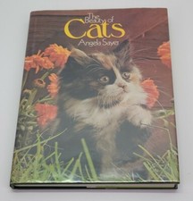 Beauty cats angela for sale  Denver