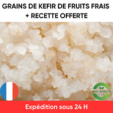 Grains kéfir fruits d'occasion  France