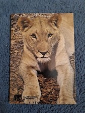Tier postkarte allwetter gebraucht kaufen  Hamburg