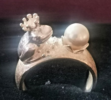 Drachenfels ring froschkönig gebraucht kaufen  Wackernheim