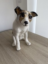 Winstanley jack russell for sale  UK