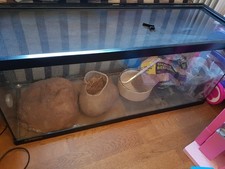 Snake vivarium for sale  WOODBRIDGE