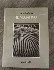 Ansel adams negativo usato  Seveso