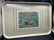 Vintage plastic dinner for sale  PRESTON