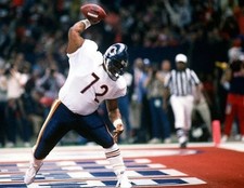 William refrigerator perry for sale  Victoria