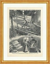 Verwendung eines hundes gebraucht kaufen Verwendung eines hundes gebraucht kaufen  Grabenstätt