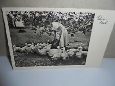 Echt foto gänse gebraucht kaufen  Sulzbach-Rosenberg
