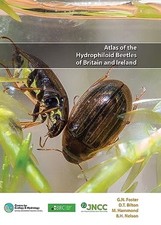 Atlas hydrophiloid beetles for sale  UK