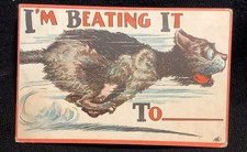 Vintage cat kitten for sale  Trumbull