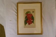 Wayland grape 1888 for sale  Greenwich