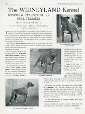 STAFFORDSHIRE BULL TERRIER NOSSOS CÃES 1951 WIDNEYLAND CANIL RAÇA DE CACHORRO PÁGINA DE ANÚNCIO comprar usado  Enviando para Brazil
