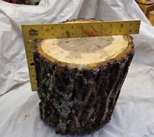 Black walnut slab for sale  Cincinnati