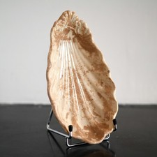 Ravier coquillage jules d'occasion  Le Puy-en-Velay
