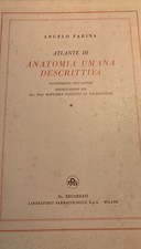 Atlante anatomia umana usato  Cento