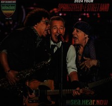 Bruce springsteen street gebraucht kaufen  Rheinböllen