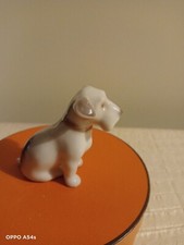 Cane fox terrier usato  Trieste