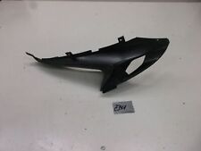 Verkleidung ram air gebraucht kaufen  Ellwangen (Jagst)