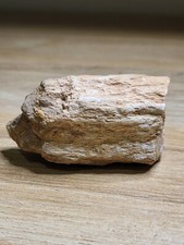 Dinosaur fossil spinosaurus for sale  SOLIHULL