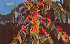 R529482 coffee berries for sale  WARLINGHAM