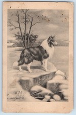 Cartão postal assinado artista 1914 Rough Collie animais cachorros cena de inverno casamento Lyman comprar usado  Enviando para Brazil