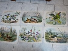 Rare lot anciennes d'occasion  France