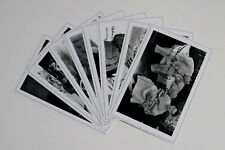 Laurel hardy joblot for sale  UK