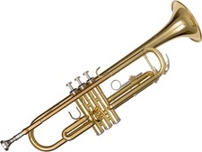 Yamaha ytr 2335 gebraucht kaufen  Aiterhofen