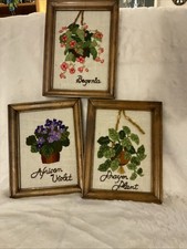 1970s house plant for sale  Hedgesville