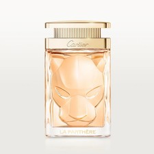 Cartier panthère eau usato  Lamezia Terme