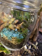 Terrarium for sale  Omaha