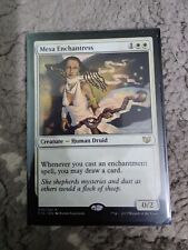 MTG Mono Blanco Encantamiento Pauper Commander EDH Mazo Informal - Mesa Enchantress, usado segunda mano  Embacar hacia Argentina