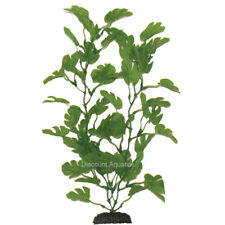 Anubias green silk for sale  BLACKPOOL