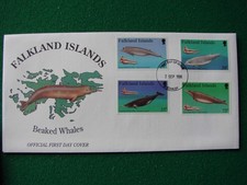 Falkland islands beaked for sale  UK
