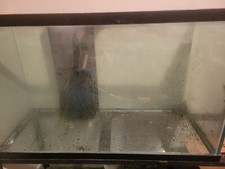 110 gallon reef for sale  Vauxhall