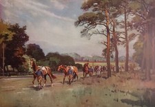 Lionel edwards racehorses for sale  MORPETH